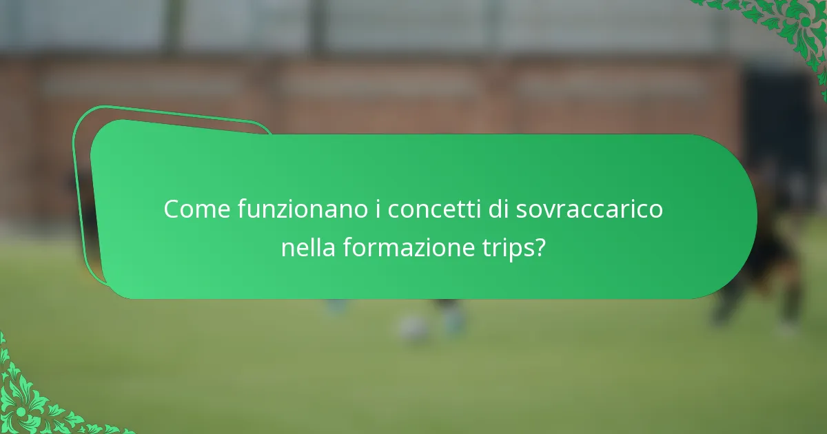 Come funzionano i concetti di sovraccarico nella formazione trips?